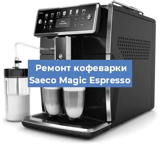 Чистка кофемашины Saeco Magic Espresso от кофейных масел в Красноярске